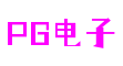 河南省南阳市电子PG网络科技有限公司